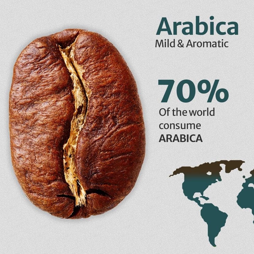 Arabica Bondad Café
