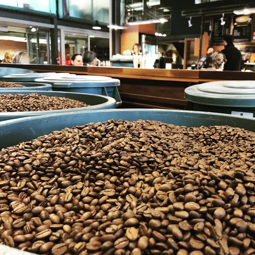Bridgehead Bridgehead
