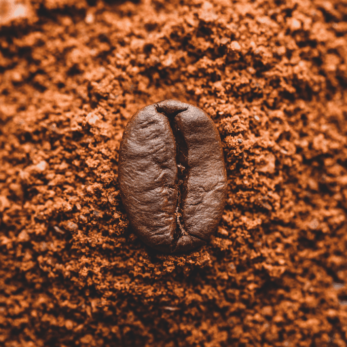 coffee bean danesi coffee bean danesi