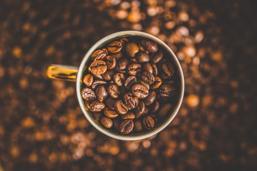 Coffee Lee