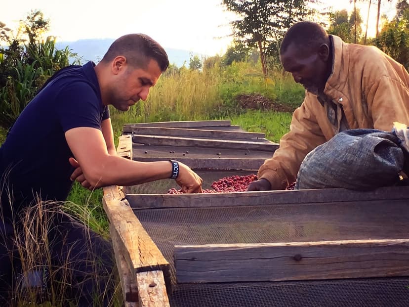 africa coffee beans