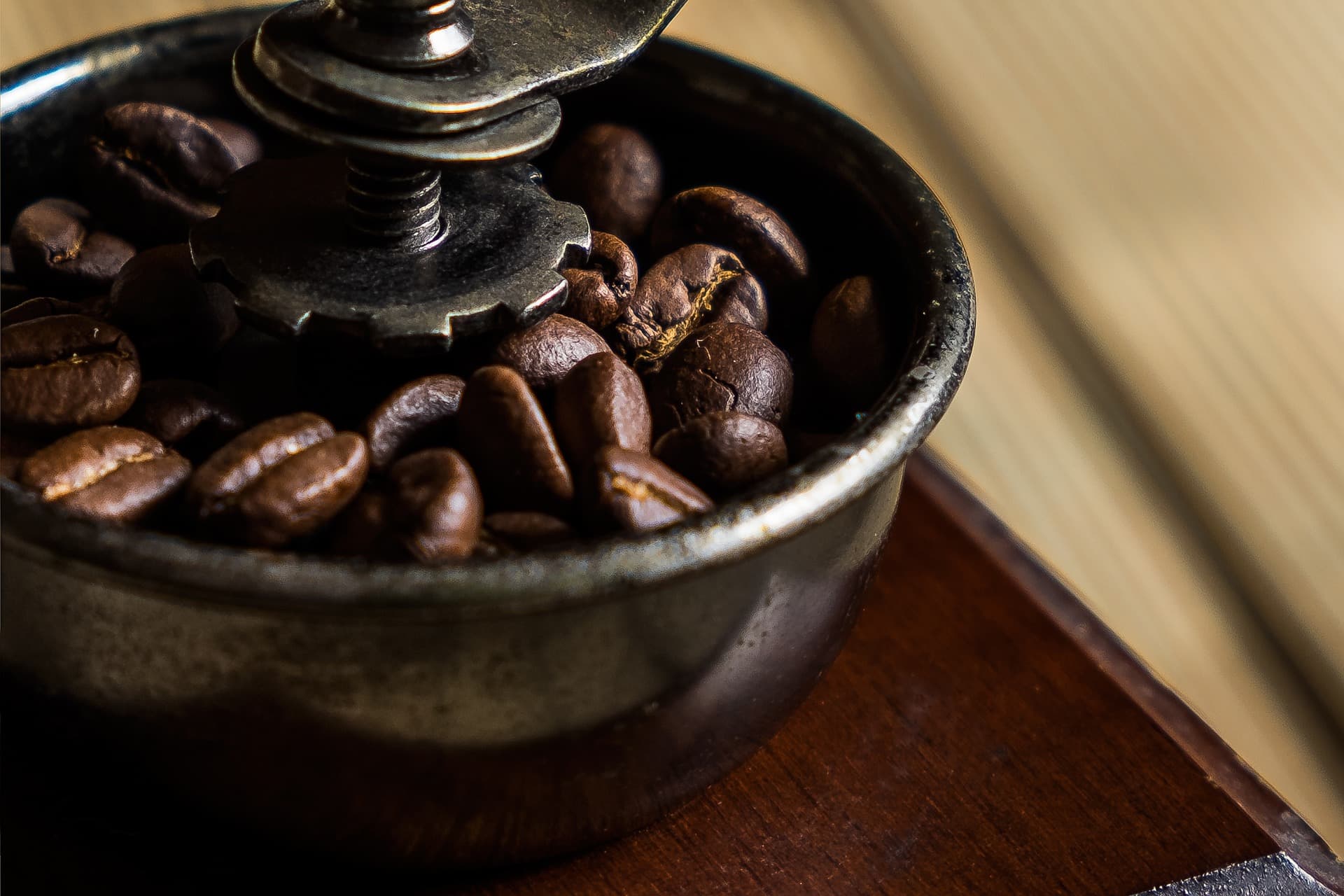 Looking for a perfect grinder: burr grinder vs blade grinder
