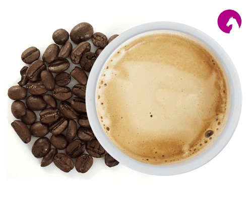 Coffee Malabar Sona 2