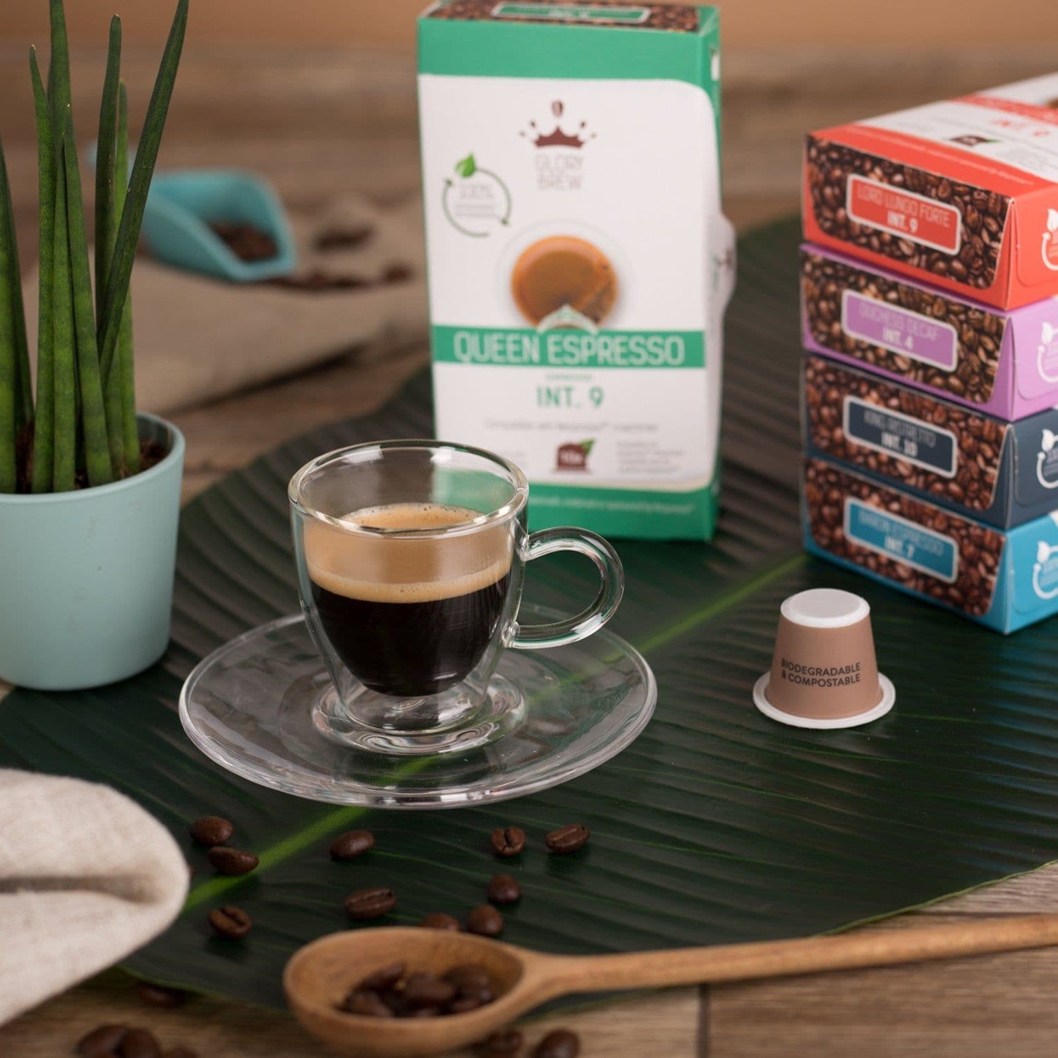 Queen Espresso 5