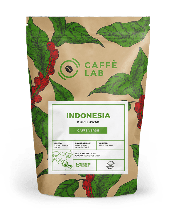 INDONESIA Kopi Luwak