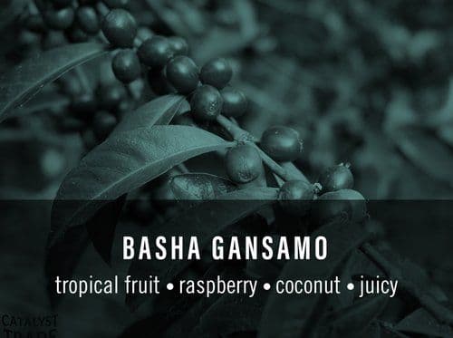 Basha Gansamo