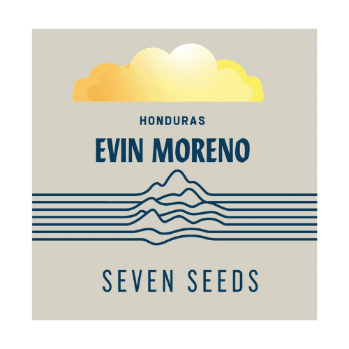 Evin Moreno, Honduras