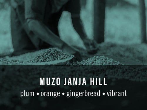 Muzo Janja Hill