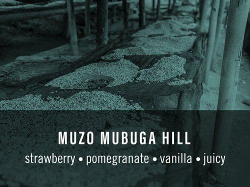 Muzo Mubuga Hill