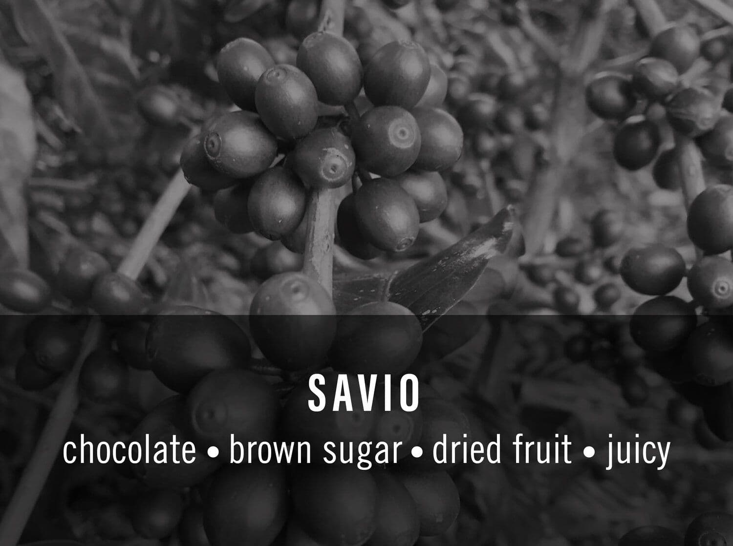 Savio