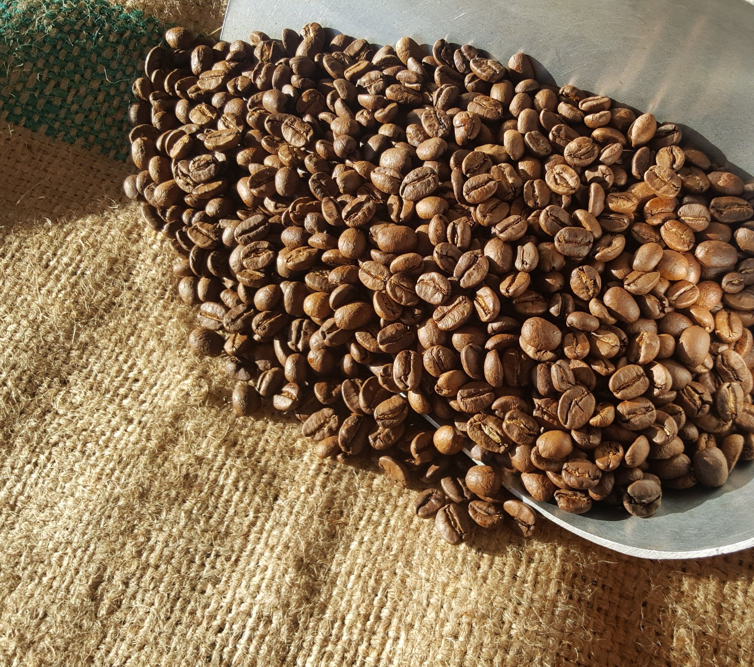 COSTA RICAN TARRAZU