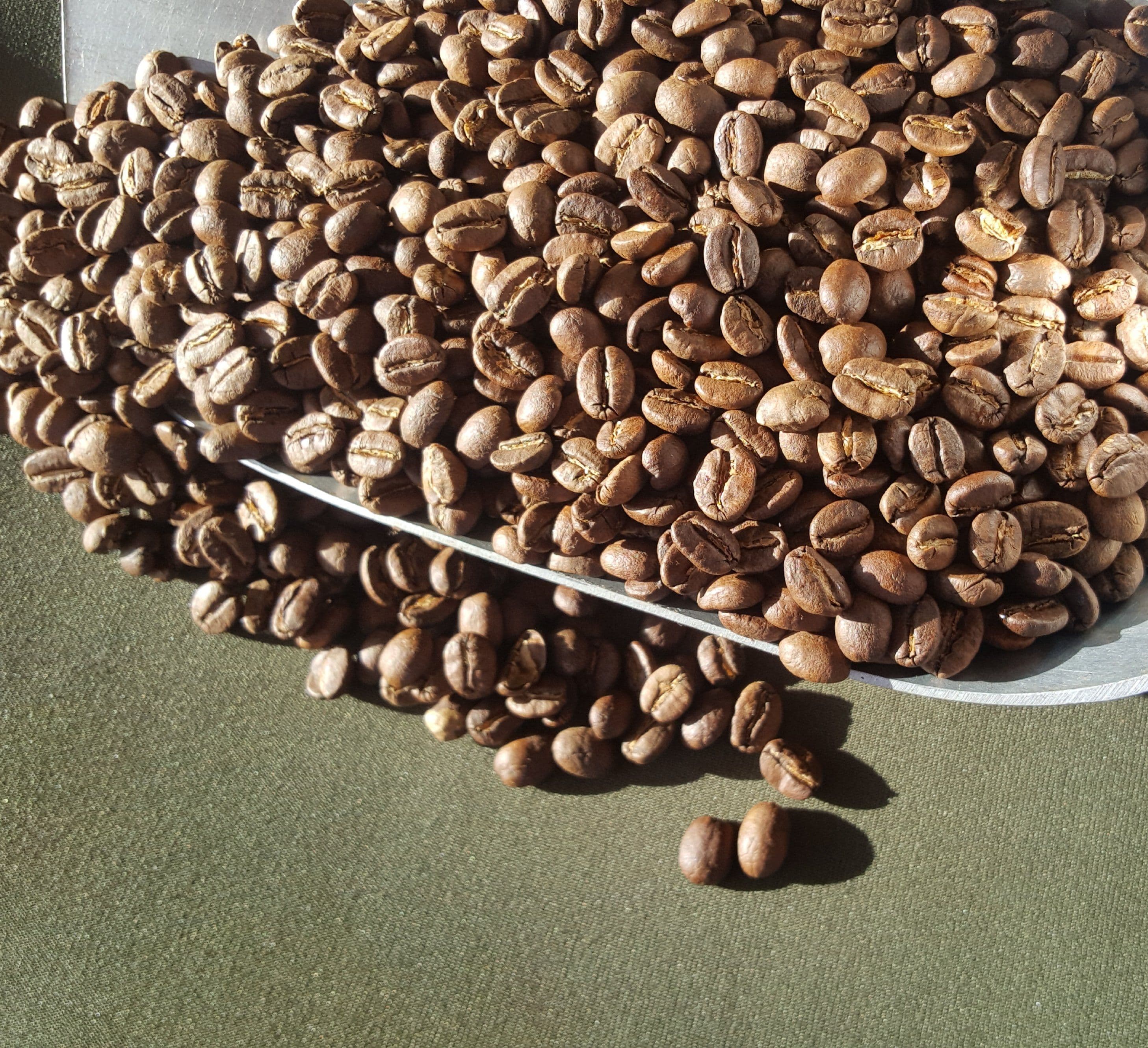 KENYAN AA ORGANIC