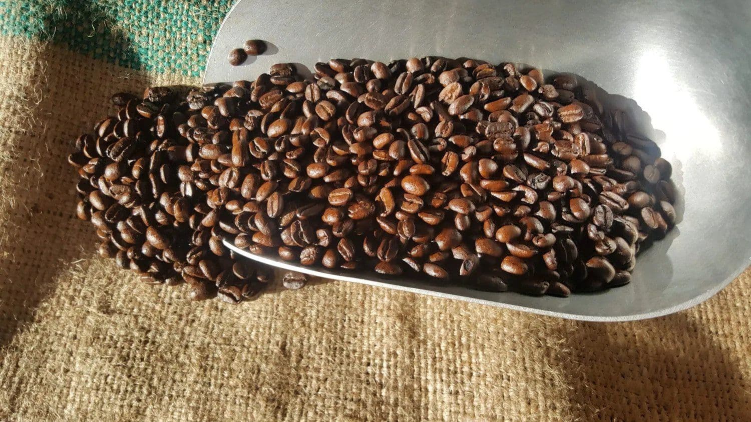 MEXICAN ORGANIC E.R.