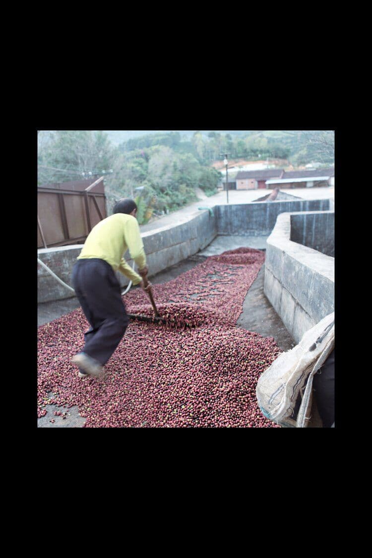 Yunnan Fuyan