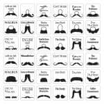 Assorted Moustaches