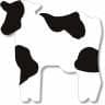 Black on White Cow