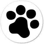 Cruzin Cap - Paws Pack