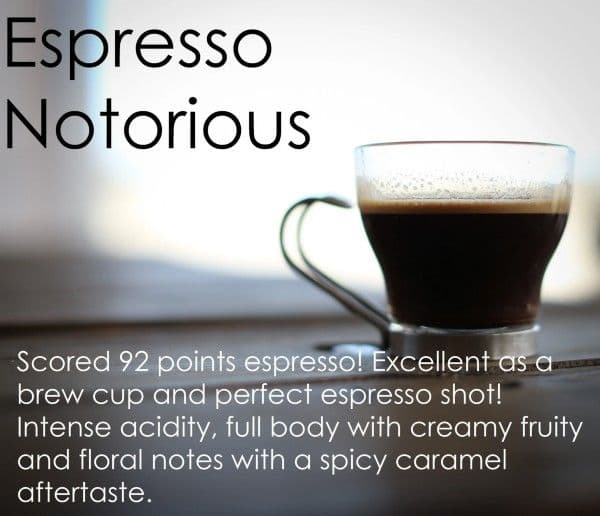 Espresso NOTORIOUS