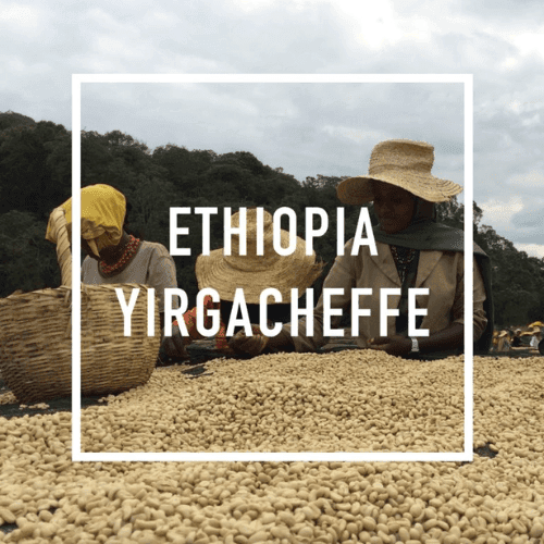 ETHIOPIA YIRGACHEFFE