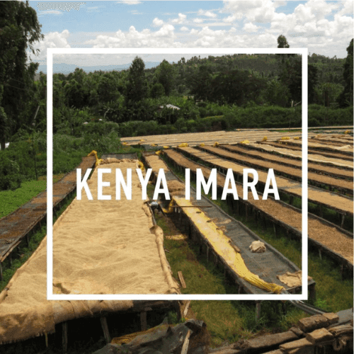 KENYA IMARA