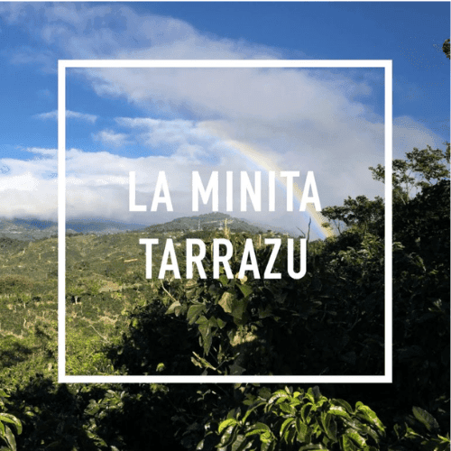 LA MINITA TARRAZU