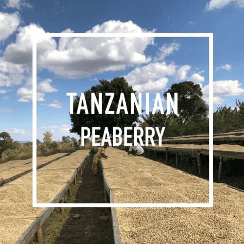 TANZANIA PEABERRY