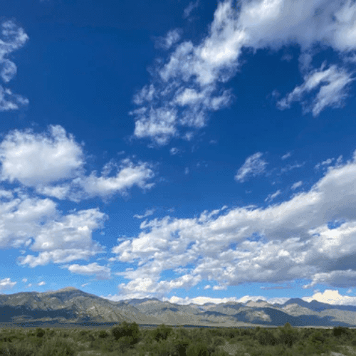 BLUE SKY BLEND