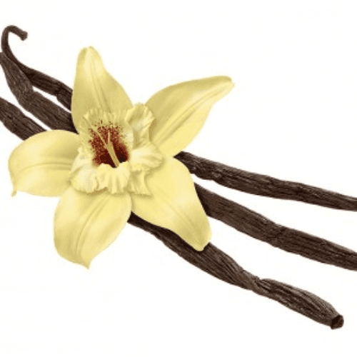 French Vanilla