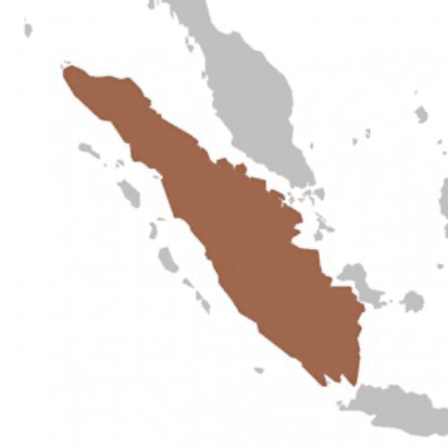 Sumatra Mandheling