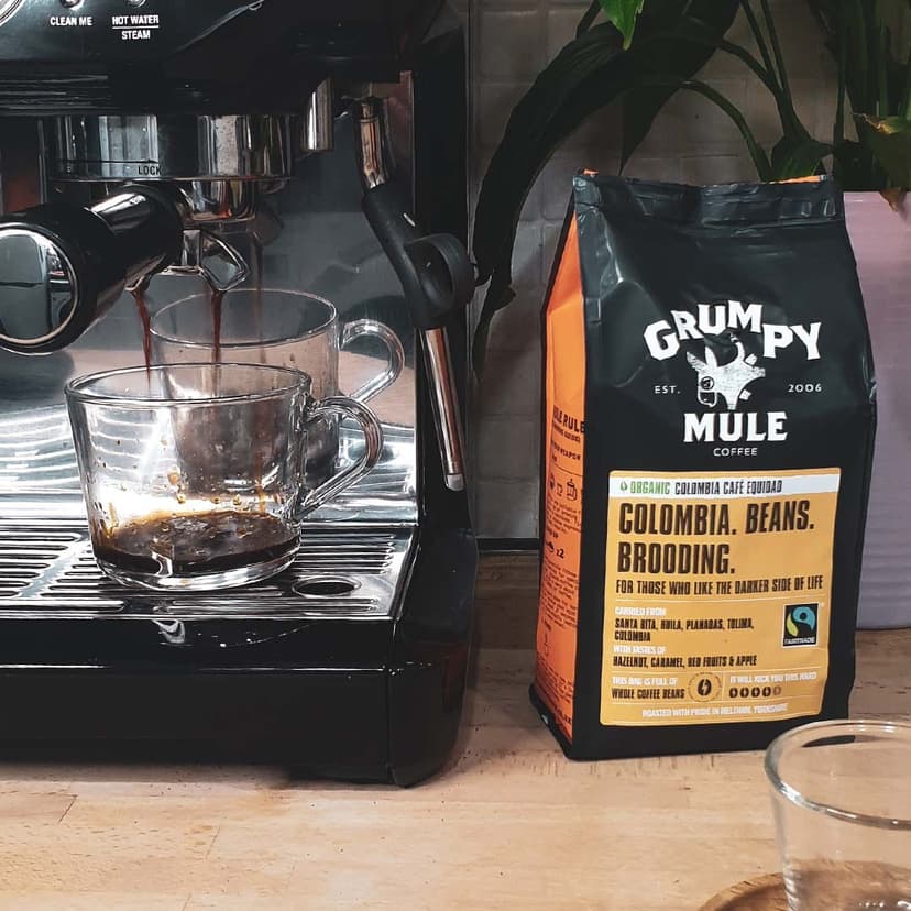 Grumpy Mule Coffee Grumpy Mule Coffee