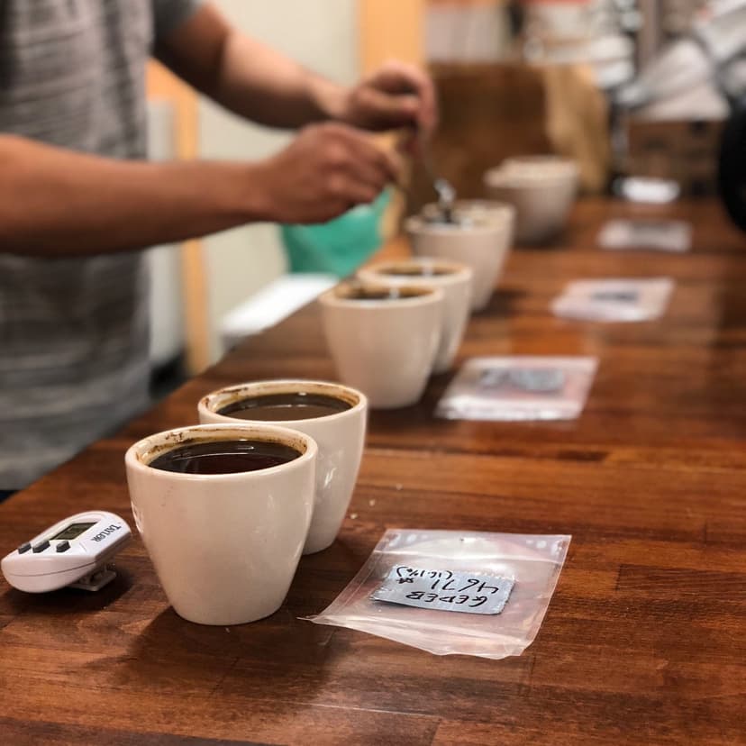 coffee tasting coffee tasting