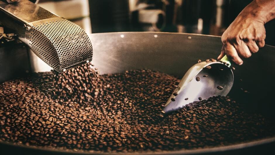 Which coffee beans should I have?