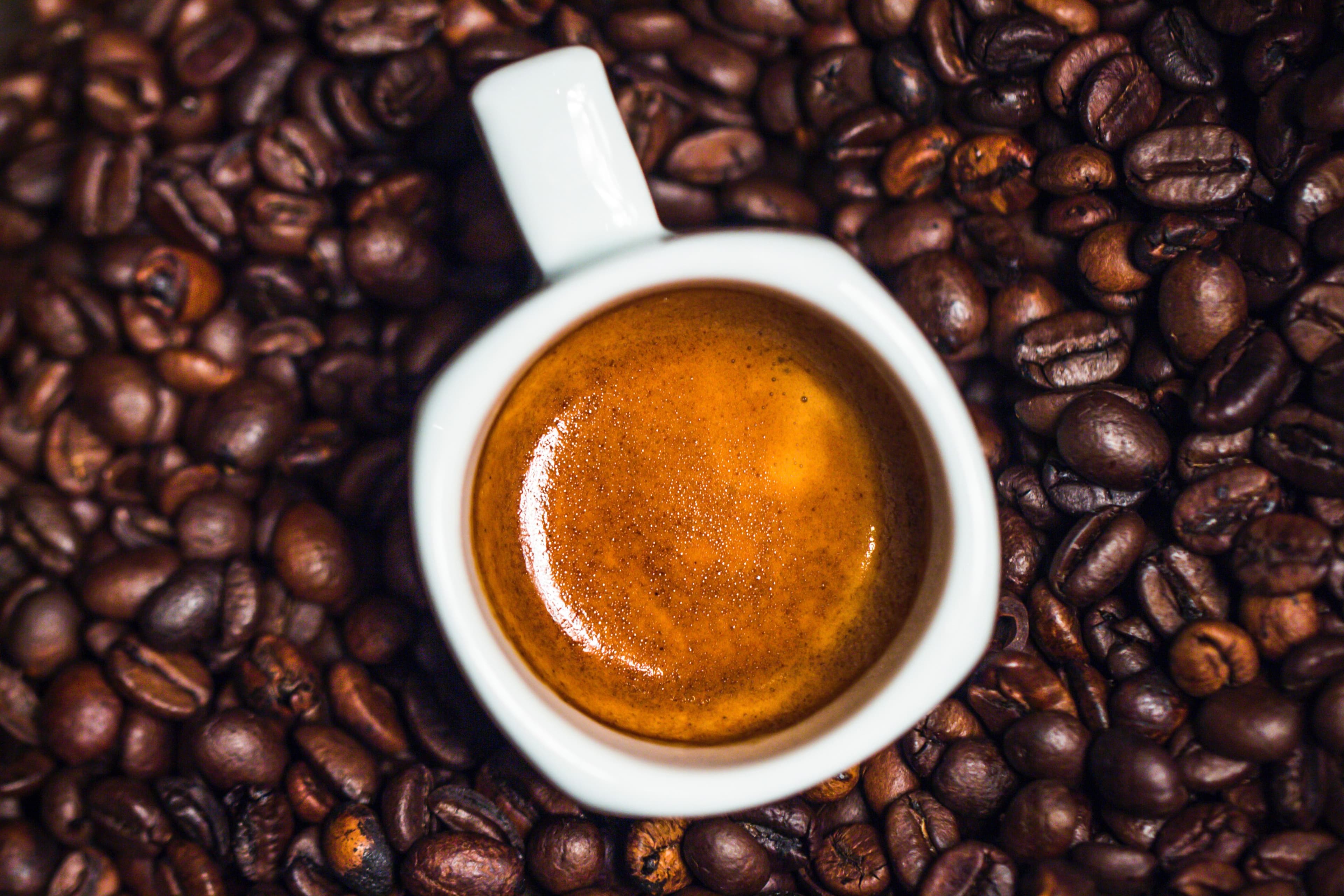 The biology of coffee, one of the world’s most popular drinks