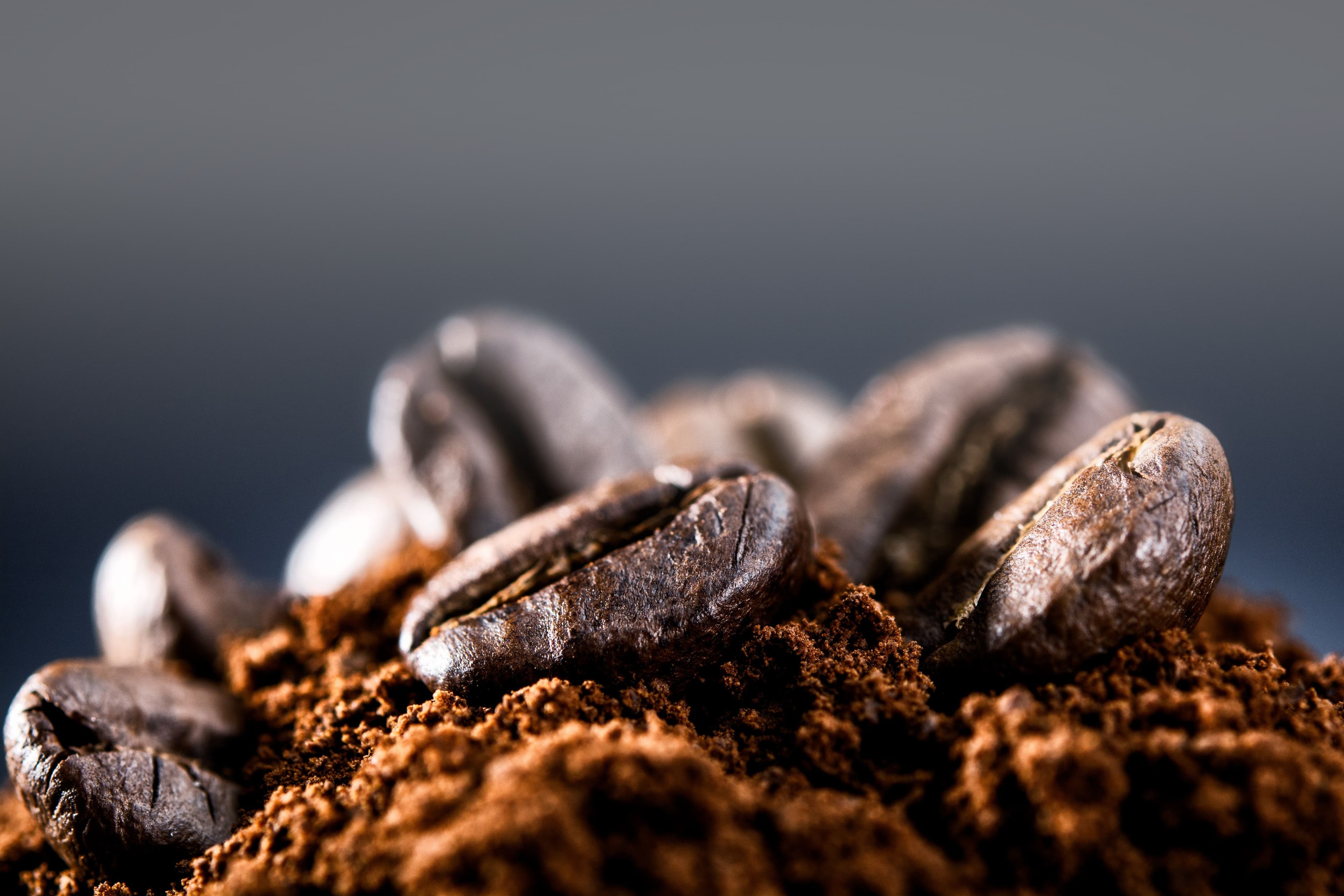 The biology of coffee