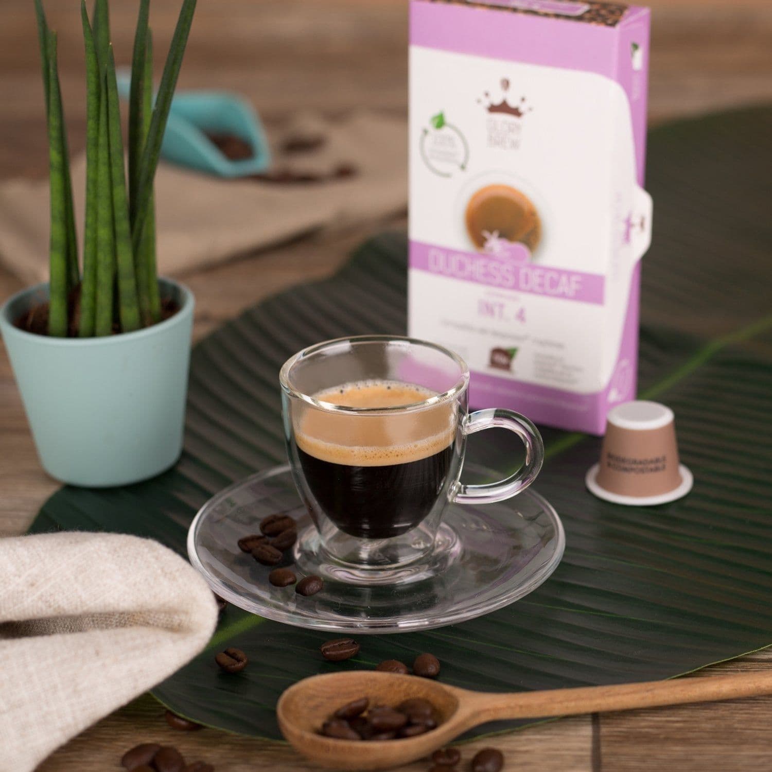 Duchess Decaf 4