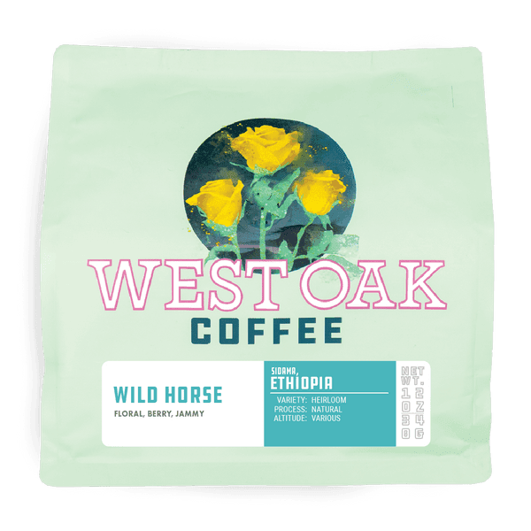 Ethiopia - Wild Horse