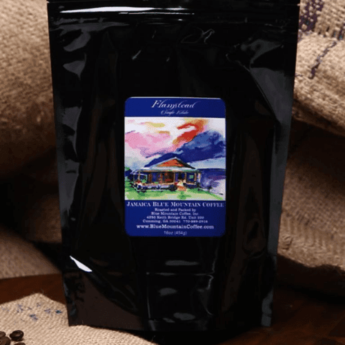 Flamstead 100% Jamaican Blue Mountain Flat Green Bean