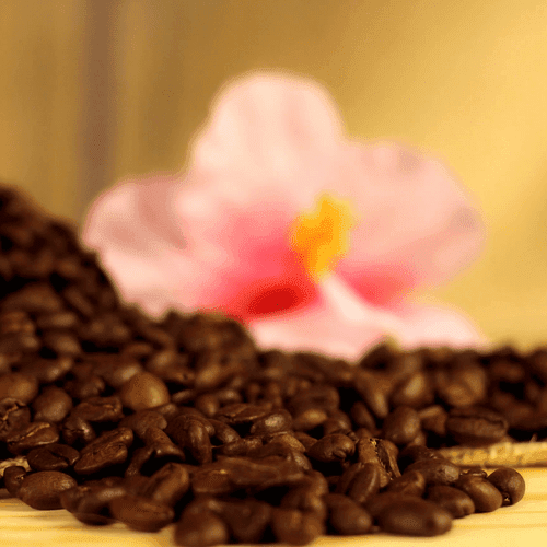 Jamaican Rum Flavored Blue Mountain Coffee