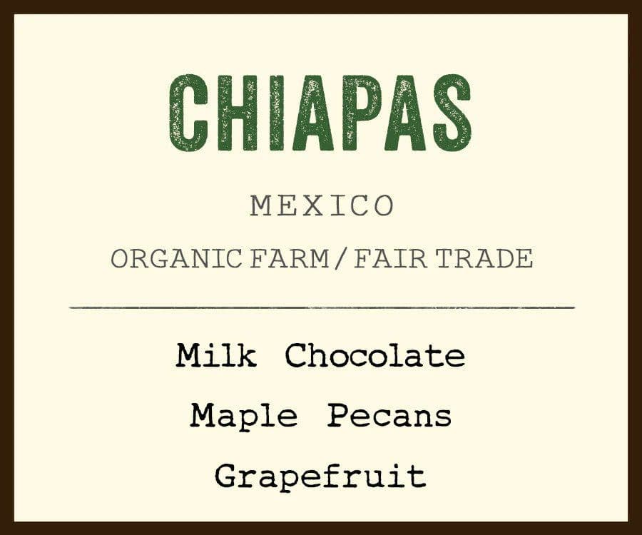 CHIAPAS BREW