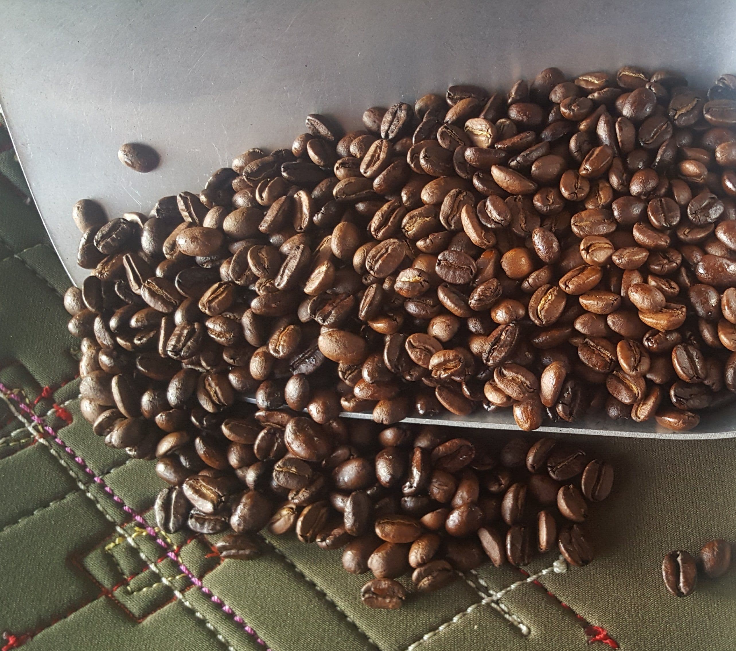 BIRD DOG BLEND ORGANIC