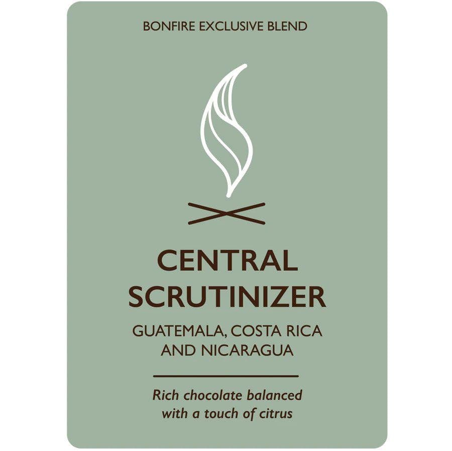 CENTRAL SCRUTINIZER