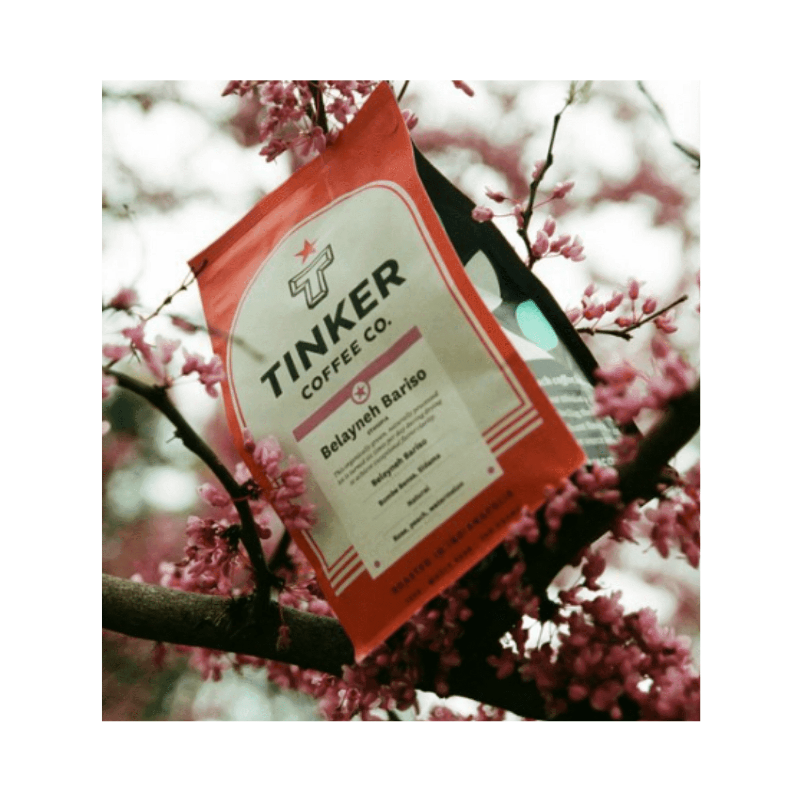 ETHIOPIA - BELAYNEH BARISO - Tinker Coffee