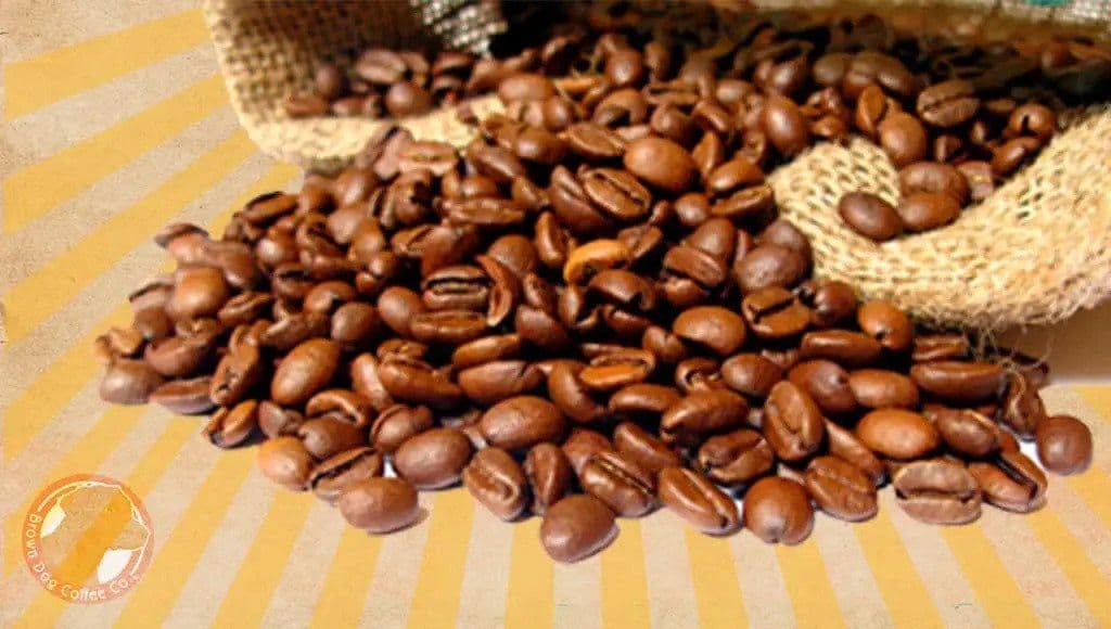 MEXICAN CHIAPAS ORGANIC
