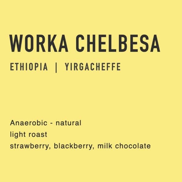 anaerobic natural worka chelbesa