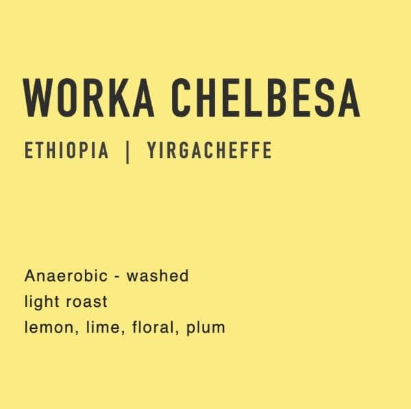 anaerobic worka chelbesa