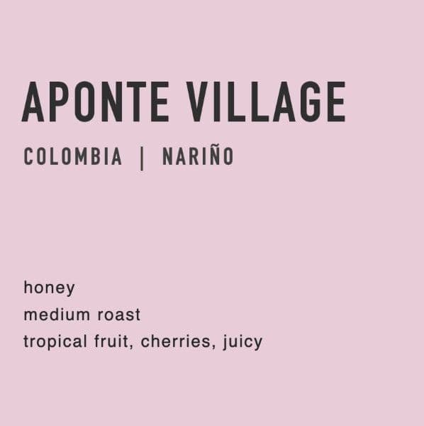 aponte village