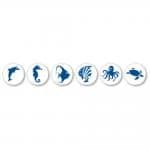 Cruzin Cap - Assorted Color Sea Creatures