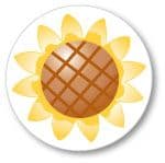Cruzin Cap - Sunflower