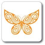 Cruzin Cup - Geometric Butterfly Pack