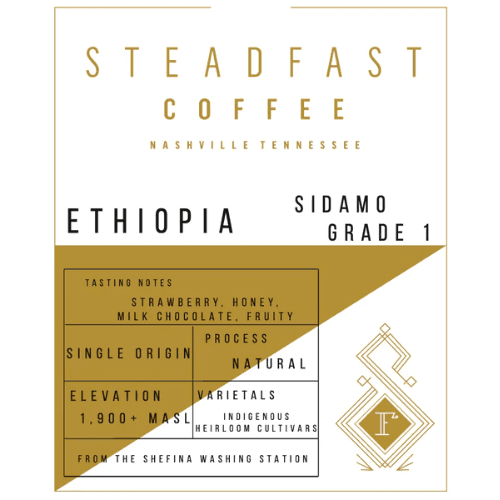 ETHIOPIA - SIDAMO GRADE 1 (8OZ BAG)
